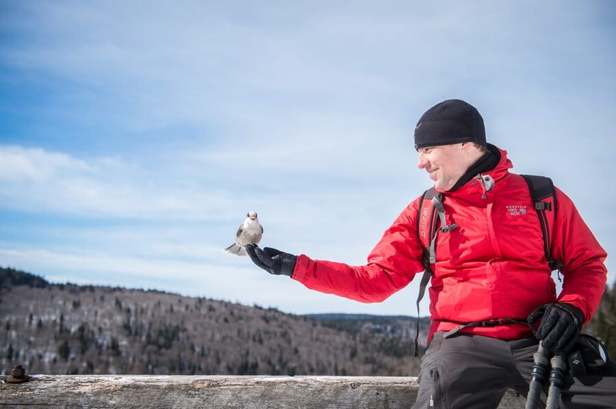 From Montreal: Sept-Chutes Regional Park Hike - Who this hike suits best (and who might want a different plan)