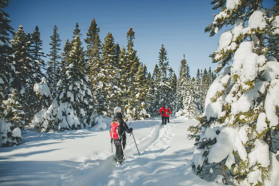 From Montreal: Sept-Chutes Regional Park Hike - Should you book the Sept-Chutes Regional Park hike from Montreal?