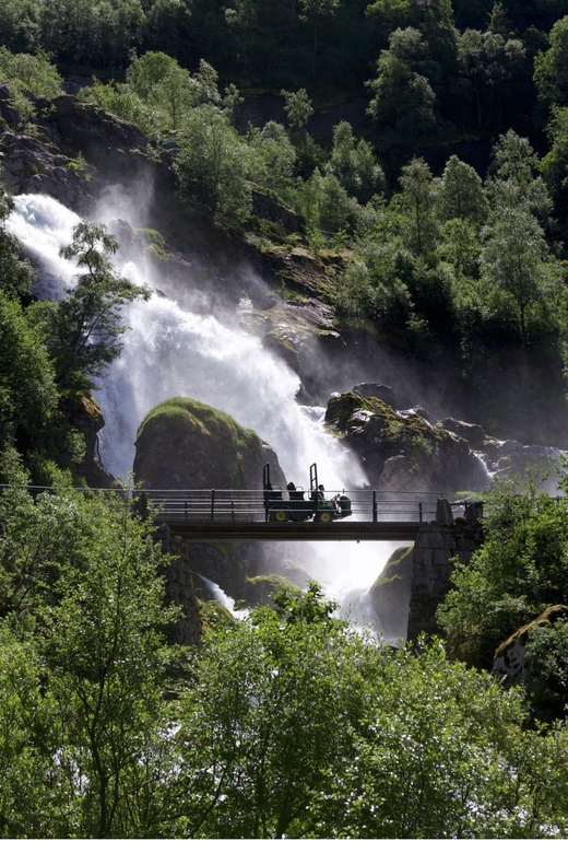 From Olden: Briksdal Glacier Guided Hiking Shore Excursion - Who should book this glacier hike from Olden?