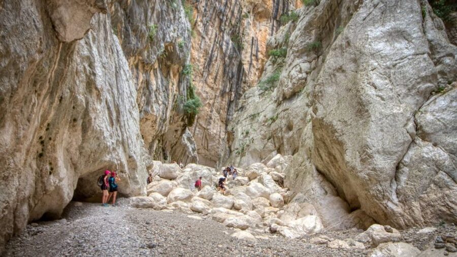 From Orosei or Dorgali: Gorropu Canyon Guided Hike - Inside Gorropu Gorge: Deep Walls, Water Sounds, and Photo Stops