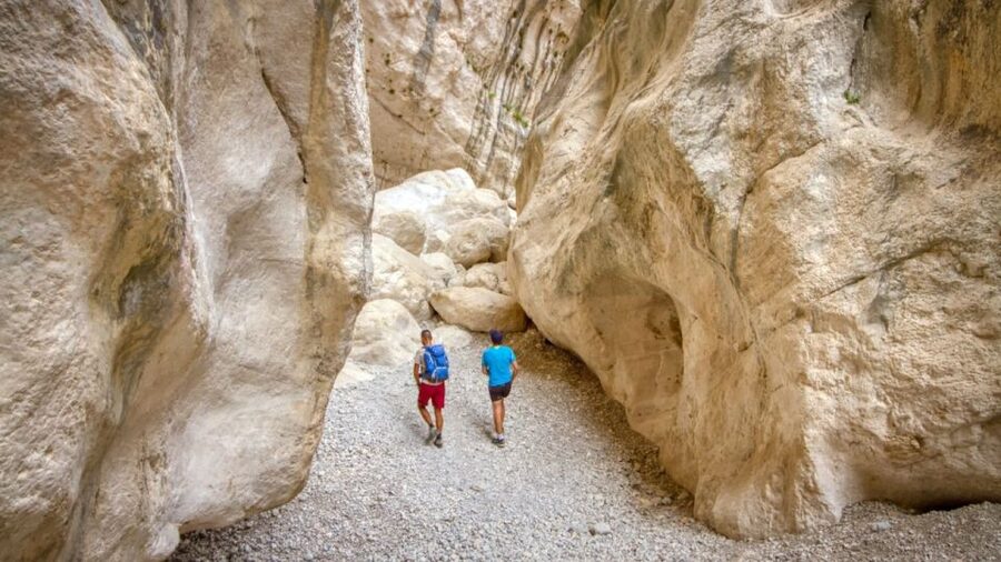 From Orosei or Dorgali: Gorropu Canyon Guided Hike - Price and What You’re Really Paying For (Plus the €6 Cash Entry)