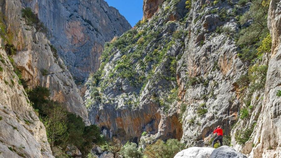 From Orosei or Dorgali: Gorropu Canyon Guided Hike - First Steps in the Wilderness: River Crossing and Strawberry Trees