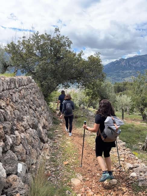 From Palma: Sierra de Tramuntana Hiking with small Picnic - Key Things You’ll Notice on This Hike