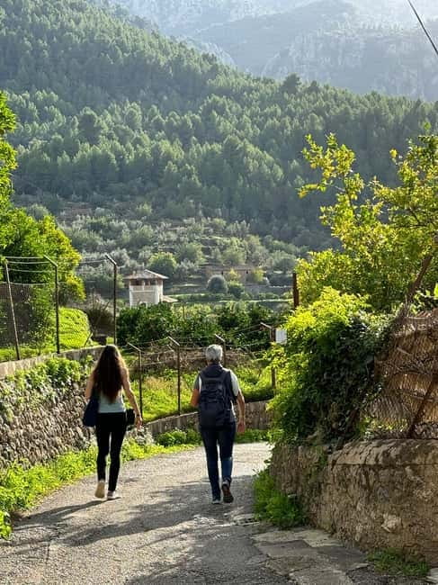 From Palma: Sierra de Tramuntana Hiking with small Picnic - The Two-Hour Point: Your Small Picnic With Big-View Timing