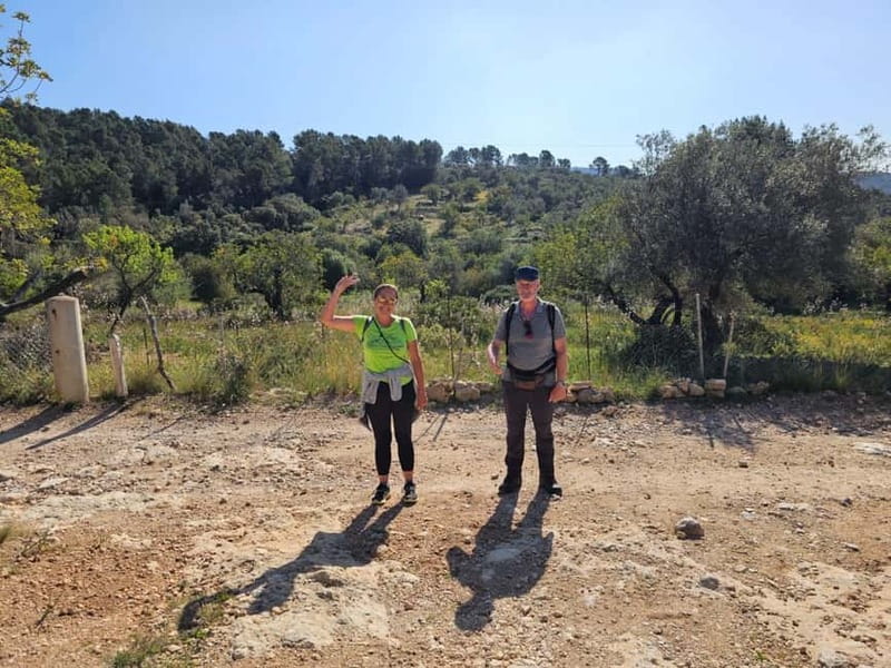 From Palma: Sierra de Tramuntana Hiking with small Picnic - Route Options: Easy to Moderate, and Adjusted to Your Day