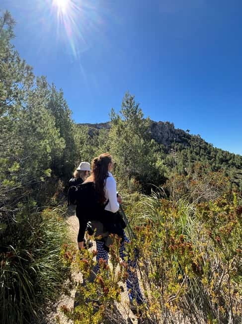 From Palma: Sierra de Tramuntana Hiking with small Picnic - Who Should Book This Hike (and Who Should Skip It)