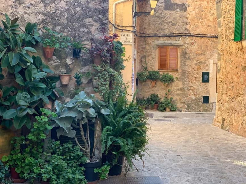 From Palma: Valldemossa Tour and Mountain Viewpoint Hike - From Palma to Valldemossa: the ride is part of the payoff