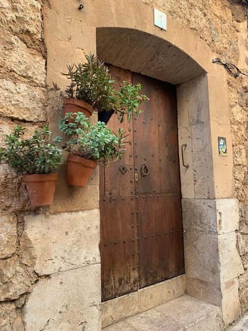 From Palma: Valldemossa Tour and Mountain Viewpoint Hike - Why Daniella and a small group changes the day
