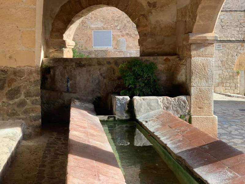 From Palma: Valldemossa Tour and Mountain Viewpoint Hike - Price and value: what $105 buys you