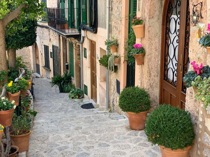 From Palma: Valldemossa Tour and Mountain Viewpoint Hike - Who should book this Valldemossa hike