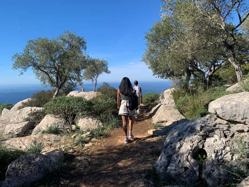 From Palma: Valldemossa Tour and Mountain Viewpoint Hike - The easy mountain hike: 5 km, four viewpoints, and camera time