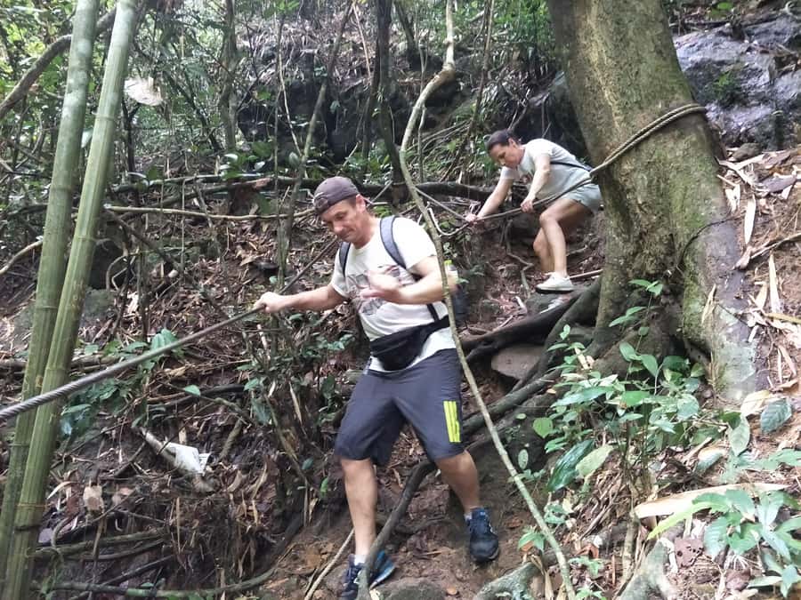 From Phuket: Guided Rainforest Hike with Lunch - Entering Khao Phra Taew: Why This Feels Like a Real Jungle