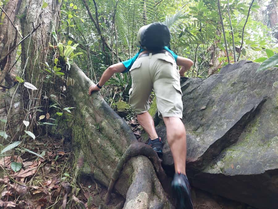 From Phuket: Guided Rainforest Hike with Lunch - Tonsai Waterfall Hike: Rough Ground, Real Jungle Rhythm