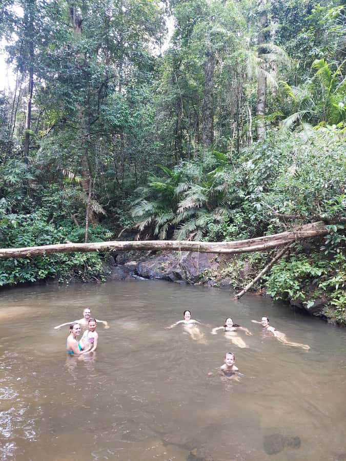 From Phuket: Guided Rainforest Hike with Lunch - Price and Value at Around $77: What You’re Actually Paying For