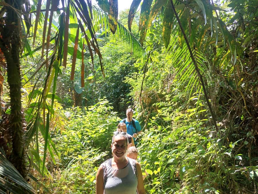 From Phuket: Guided Rainforest Hike with Lunch - What to Bring (and What Not to): Make the Hike Easier on Yourself