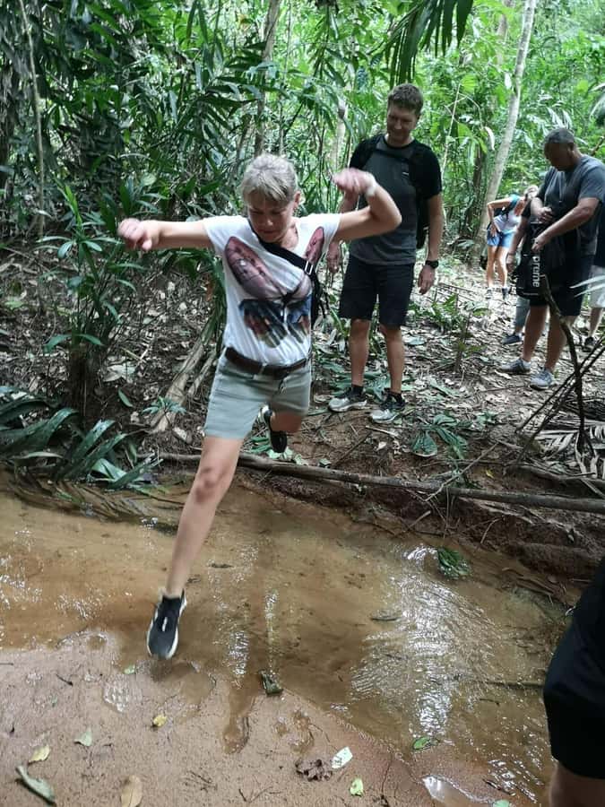 From Phuket: Guided Rainforest Hike with Lunch - Who This Phuket Rainforest Hike Is Best For (and Who Should Skip It)