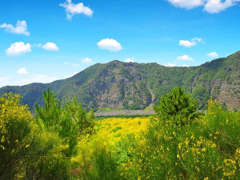 From Pompeii: Mt. Vesuvius Hike & Tour by Bus - From Pompeii Pickup at Via Roma to the Vesuvius Minibus Ride