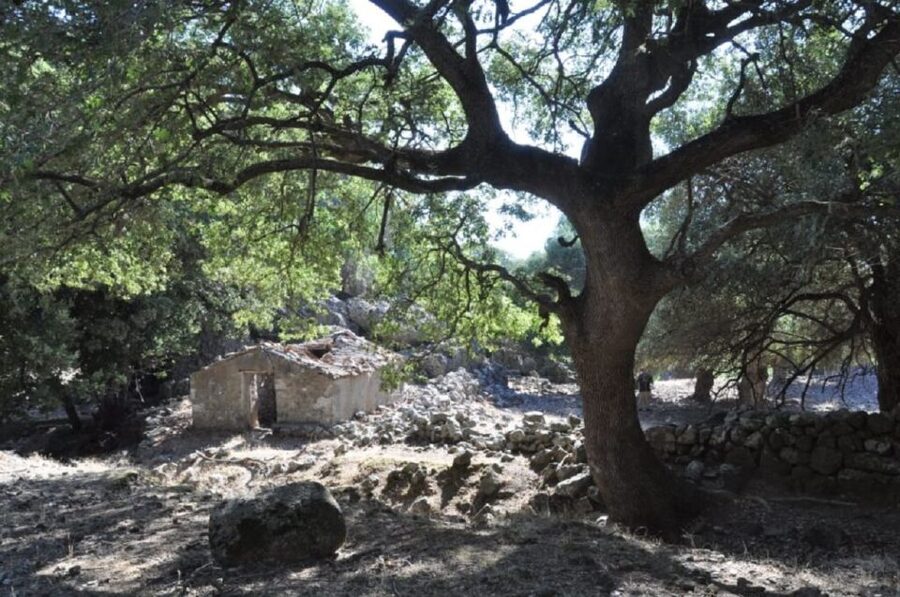 From Rethymno/Chania: Imbros Gorge Hike - Chora Sfakion free time: swimming, tavernas, and the Venetian fortress views
