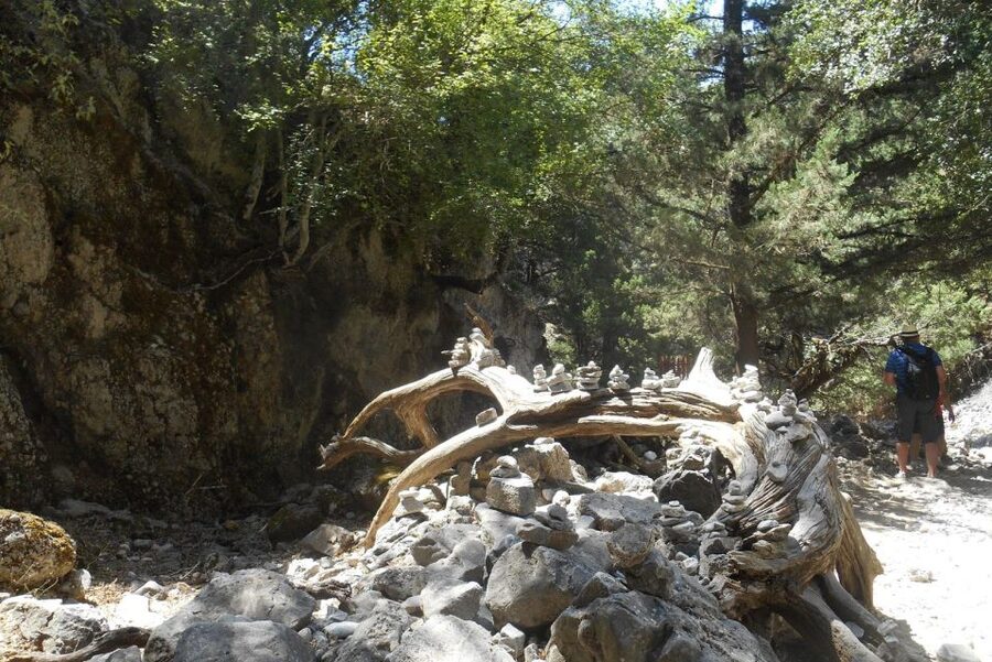 From Rethymno/Chania: Imbros Gorge Hike - Getting from Rethymno or Chania: pickup, White Mountains drive, and the right start time