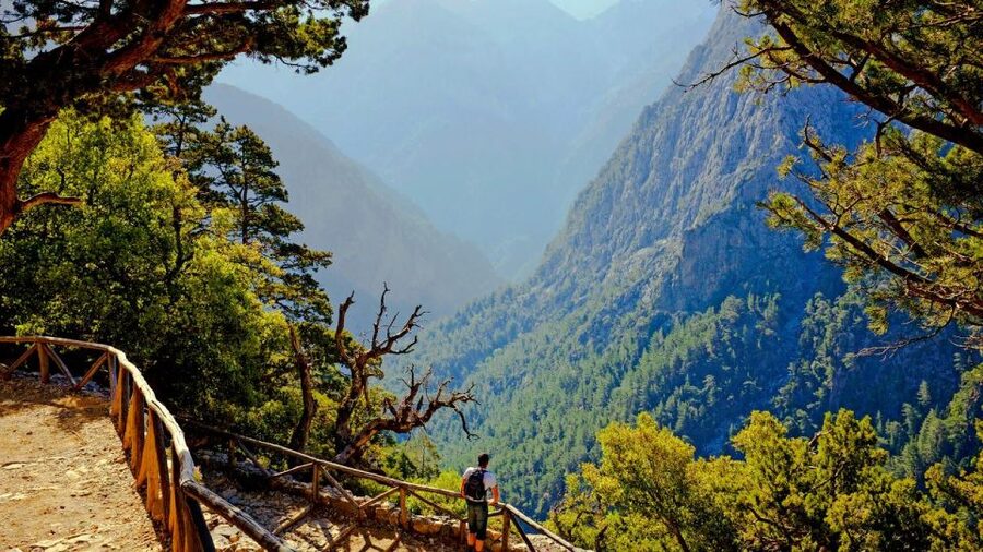 From Rethymno: Samariá Gorge Full-Day Hike - Ferry to Sougia and the coach return: how you close the loop