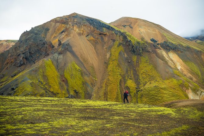 From Reykjavík: Landmannalaugar Hiking Day Tour - Price and value: what $218.98 is really buying