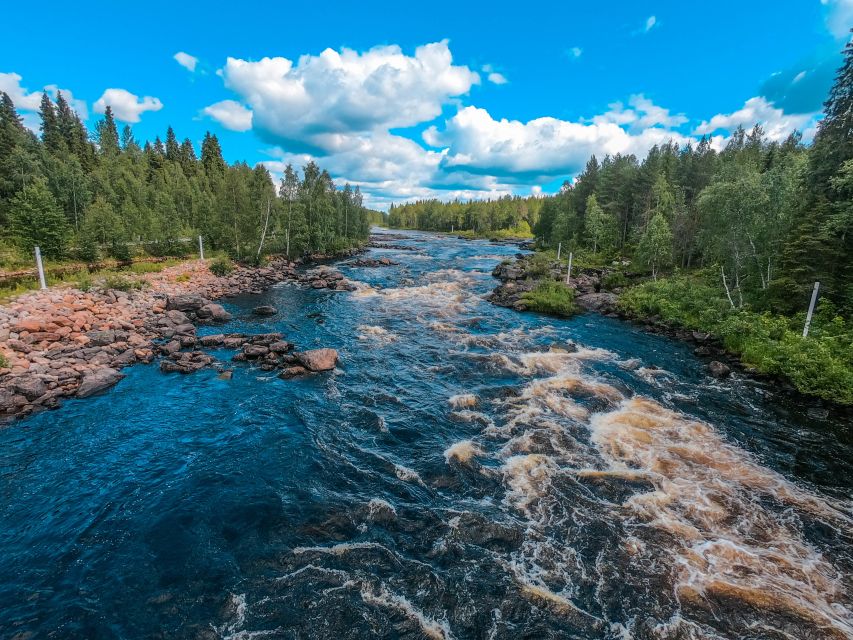 From Rovaniemi: Vikaköngäs Forest Hiking Tour - Getting to Vikaköngäs From Rovaniemi Without Worry