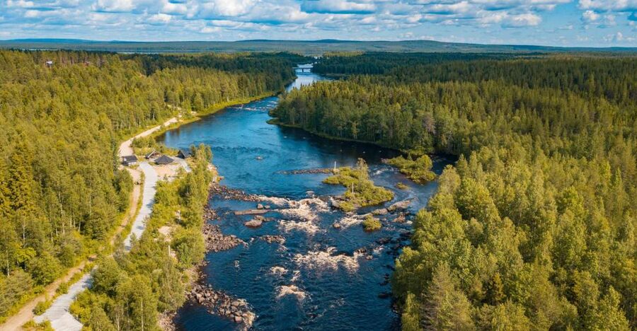 From Rovaniemi: Vikaköngäs Forest Hiking Tour - Inside Vikaköngäs National Park: Forests, Gorges, and Water Views