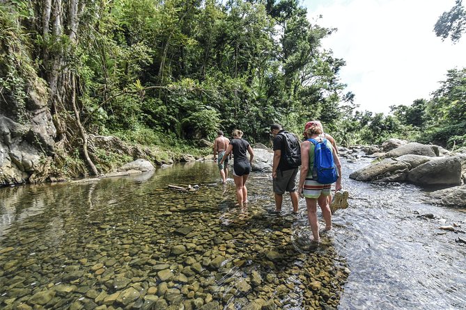 From San Juan: El Yunque Rainforest Hiking Adventure - Entering El Yunque like a Real Explorer (Not a Bus Tour)