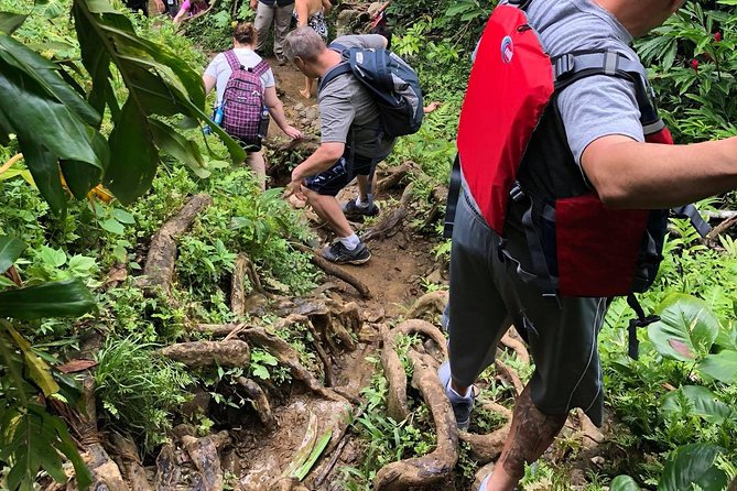 From San Juan: El Yunque Rainforest Hiking Adventure - Price and Value: Why $93 Can Make Sense for This Much Done