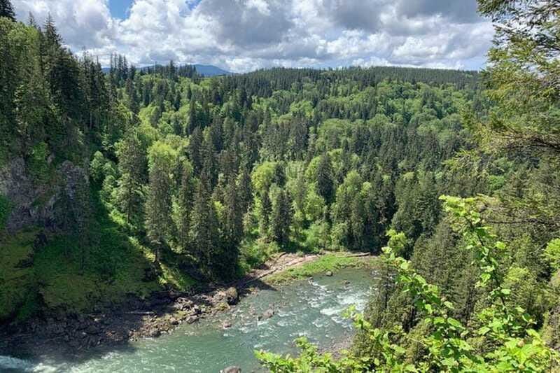 From Seattle: Pacific Northwest Waterfalls & Hiking Tour - Who Should Book This Tour (and Who Should Skip It)