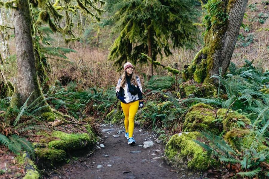 From Seattle: Visit Snoqualmie Falls and Hike to Twin Falls - Snoqualmie Falls from Two Viewpoints: same power, new perspective
