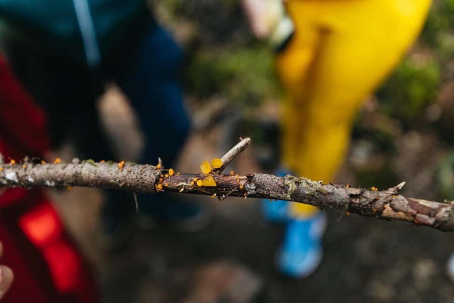 From Seattle: Visit Snoqualmie Falls and Hike to Twin Falls - What to Pack (So You Don’t Regret It 20 Minutes In)