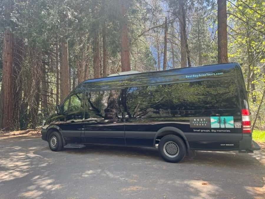 From SF: Yosemite Day Trip with Giant Sequoias Hike & Pickup - Valley View and the quiet switch to sequoias