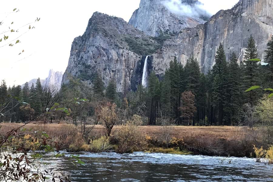 From SF: Yosemite Day Trip with Giant Sequoias Hike & Pickup - The sequoia hike: worth it, but don’t ignore the difficulty note