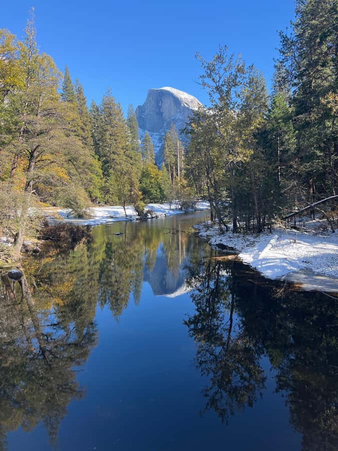 From SF: Yosemite Day Trip with Giant Sequoias Hike & Pickup - Comfort and service: the van makes the long day workable