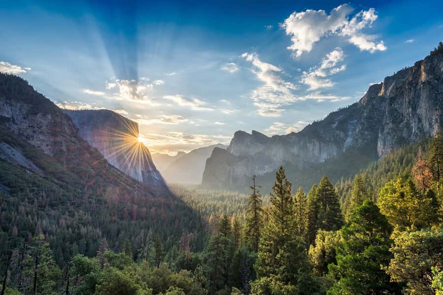 From SF: Yosemite Day Trip with Giant Sequoias Hike & Pickup - Price and value: what $239 buys you (and what it doesn’t)