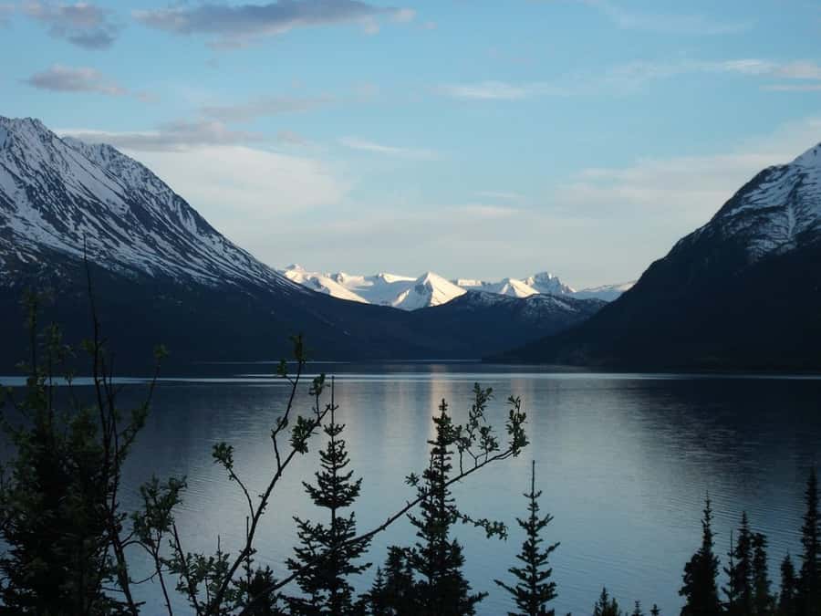 From Skagway: Skagway City & White Pass Summit Guided Tour - Why this bus tour works when you want more than one big view