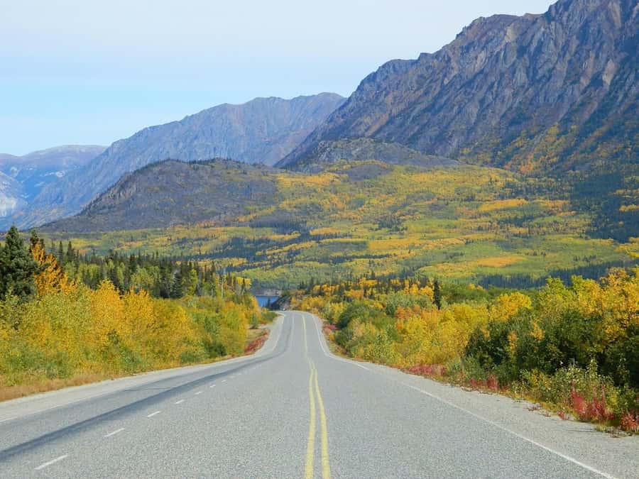 From Skagway: Skagway City & White Pass Summit Guided Tour - Skagway city tour: the 1898 Klondike Gold Rush story made human