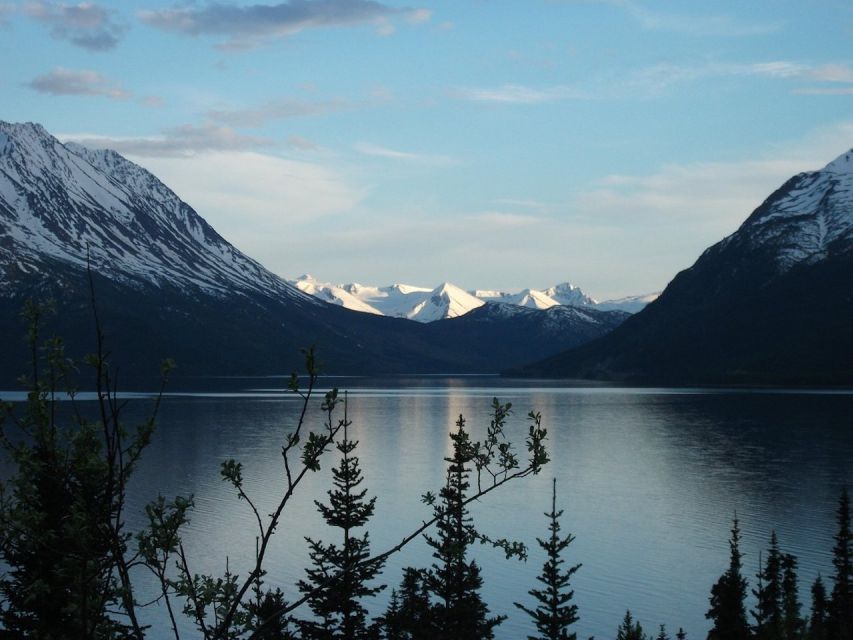 From Skagway: Skagway City & White Pass Summit Guided Tour - Wildlife potential along the route: how to maximize your odds without stressing