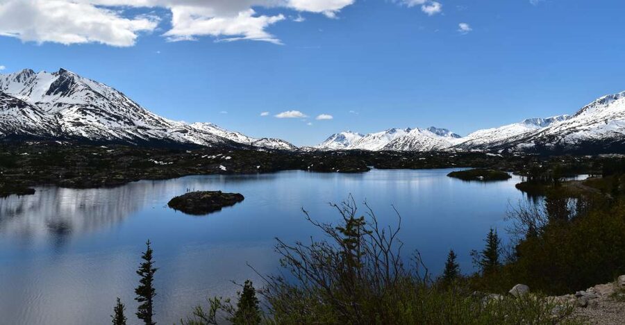From Skagway: White Pass Summit Guided Bus Tour - From dock to summit: how the 3-hour ride really feels