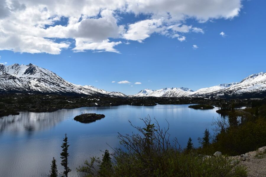 From Skagway: White Pass Summit Guided Bus Tour - Guides on this tour: lively stories and solid photo help