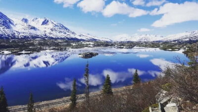 From Skagway: Wild Adventure Yukon Day Trip with BBQ Lunch - Meeting Point and Passport Reality Check