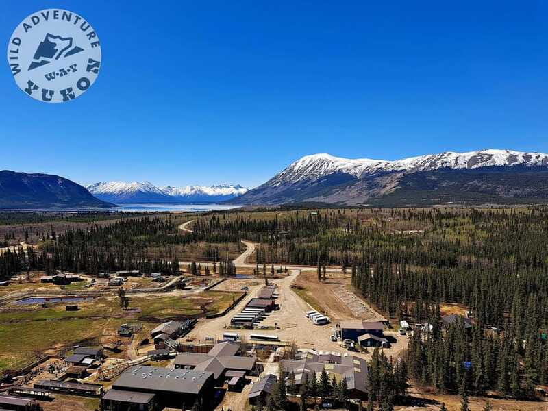 From Skagway: Wild Adventure Yukon Day Trip with BBQ Lunch - Wild Adventure Yukon (Caribou Crossing): Lunch, Animals, and a Real Hands-On Block