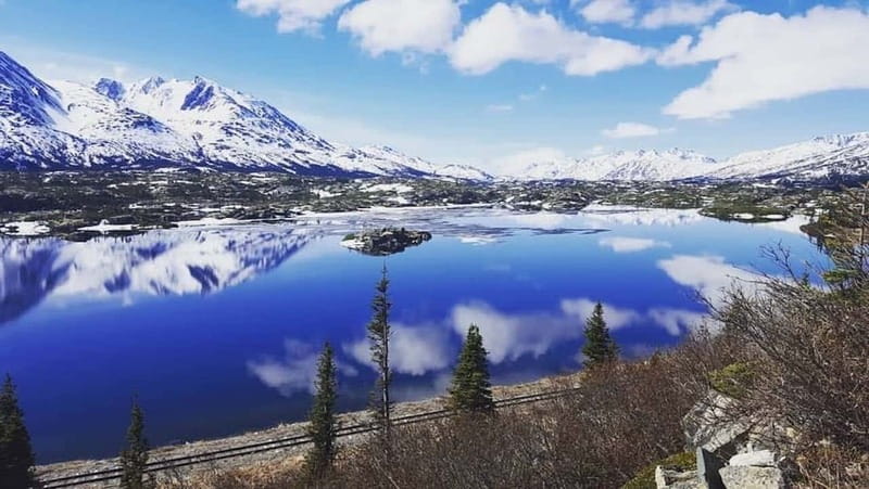 From Skagway: Wild Adventure Yukon Day Trip with BBQ Lunch - Meeting Point and Passport Reality Check