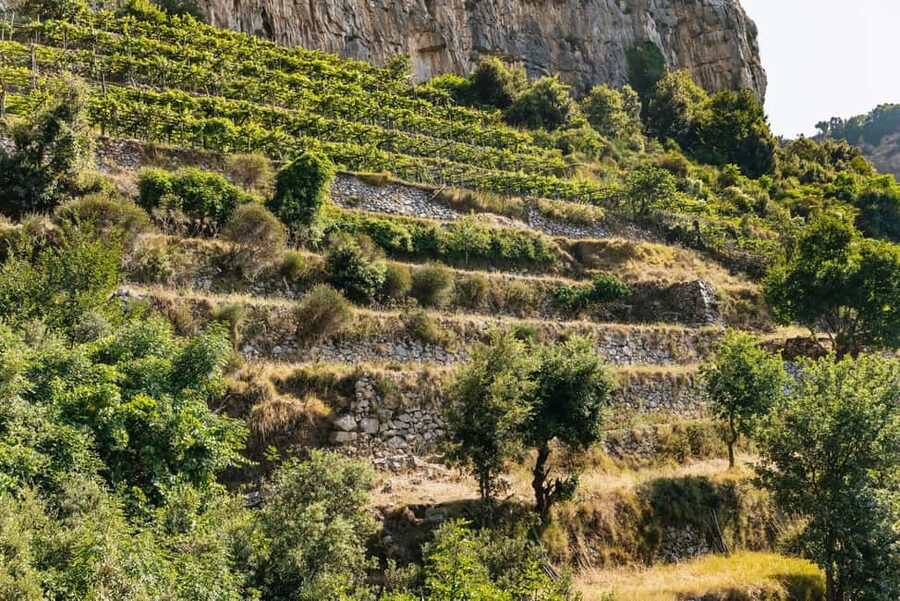 From Sorrento: Path of the Gods Guided Hike with Transfers - What to bring for the best footing (and fewer regrets)