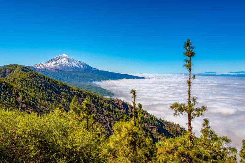 From South Tenerife: Mount Teide Hiking Day Trip & Cable Car - Practical Gear and Packing Tips That Actually Matter