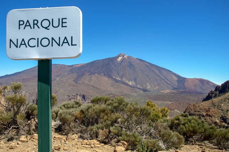From South Tenerife: Mount Teide Hiking Day Trip & Cable Car - Price and Value: Does $169 Make Sense for Teide?