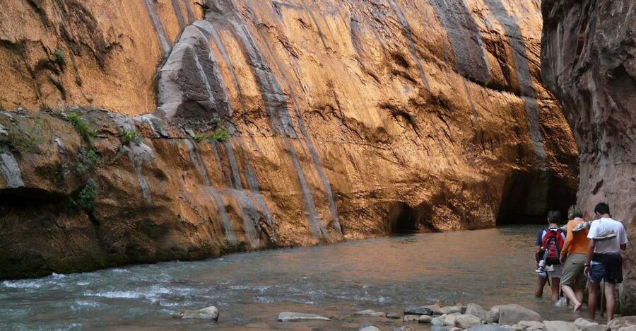 From Springdale: The Zion Narrows Hike with Lunch - Key highlights worth knowing before you go