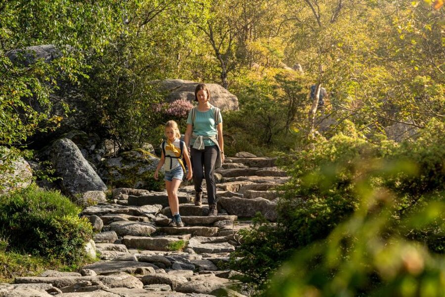 From Stavanger: Pulpit Rock Guided Hike with Pickup - Hidden/secret trail option: walking like you found the place