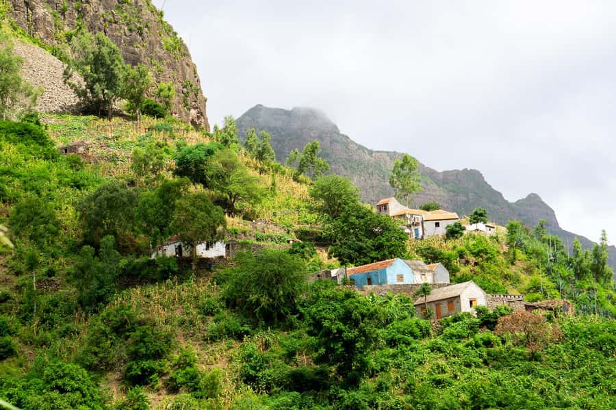 From Tarrafal: Serra to Principal Hike & Lunch with locals - The guide-led nature walk: what you learn on the way down